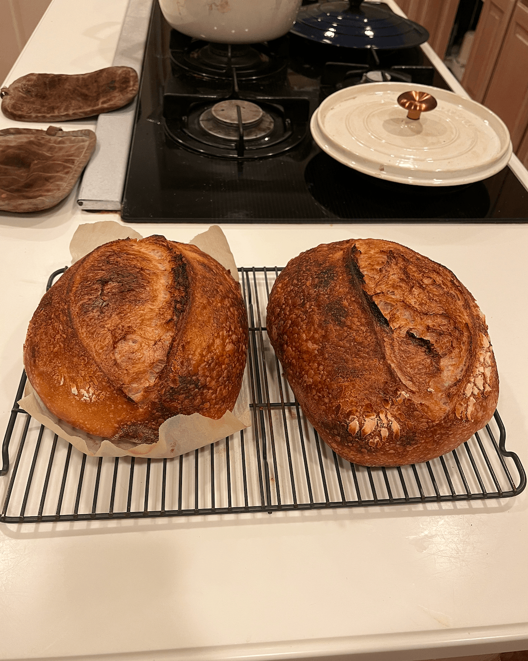 Two loafs